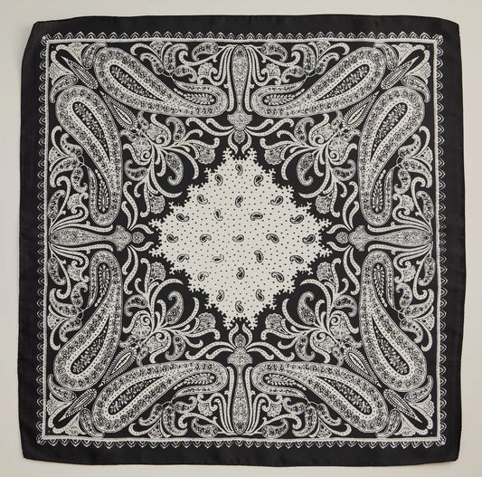 Paisley Scarf
